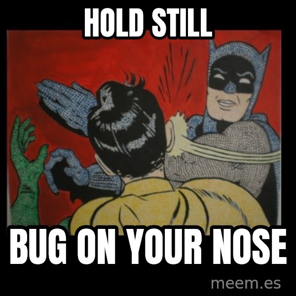 Batman Slappp meme: hold still / bug on your nose