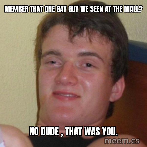 Really Stoned Guy meme: Member that one gay guy we Seen at the mall? / No dude , that was you.