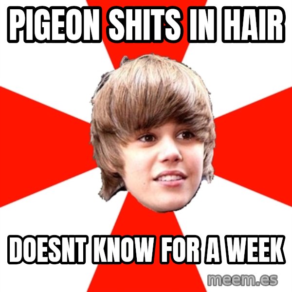 Justin Bieber meme: pigeon shits in hair / doesnt know for a week
