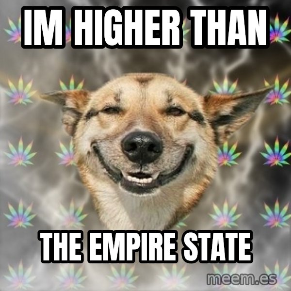 Stoner Dog meme: Im higher than / the empire state