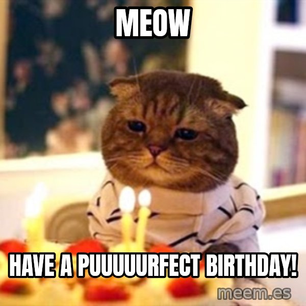 Birthday Cat meme: MeoW / HAve a puuuuurfect birthday!