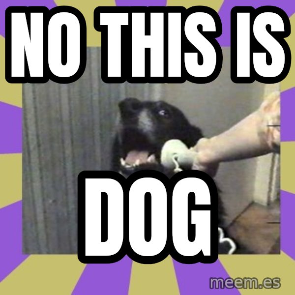 Yes, this is dog! meme: NO THIS IS / DOG