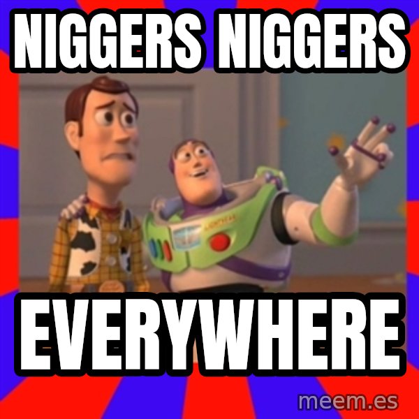 X, X Everywhere  meme: Niggers niggers / Everywhere