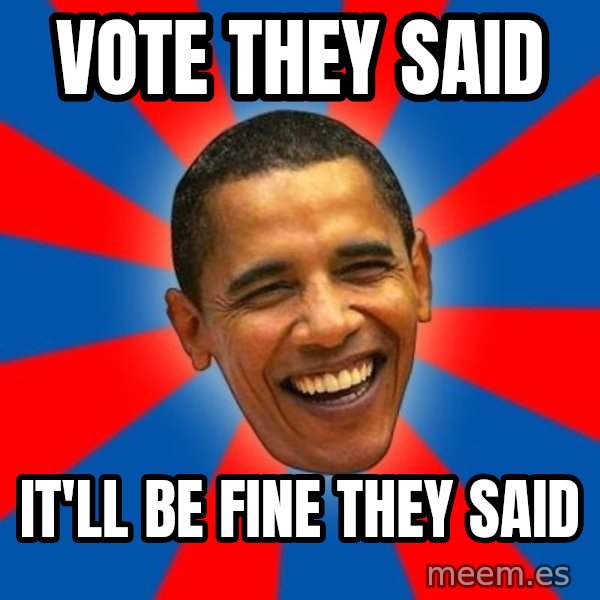 Obama meme: Vote they said / It'll be fine they said