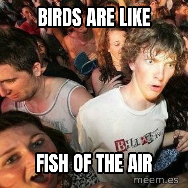 -Sudden Clarity Clarence meme: birds are like / fish of the air
