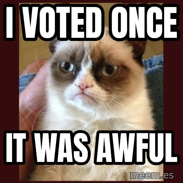 Grumpy Cat  meme: I voted Once / It was awful