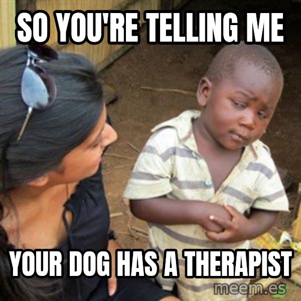 Skeptical 3rd World Kid meme: so you're telling me / your dog has a therapist