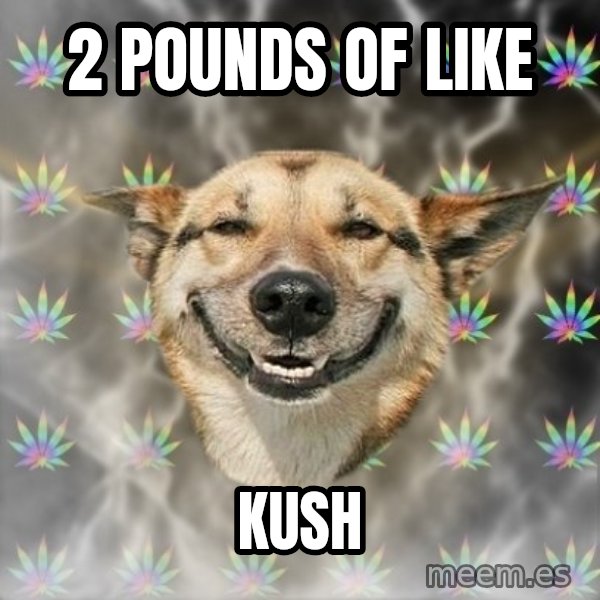 Stoner Dog meme: 2 pounds of like / kush