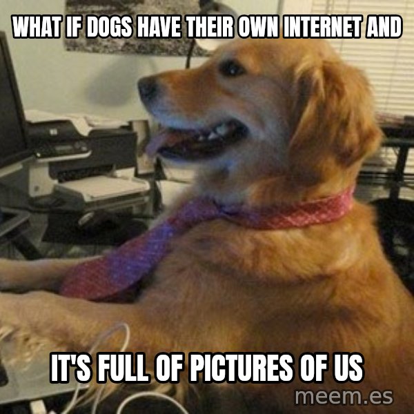 I have no idea what I'm doing - Dog with Tie meme: WHAT IF DOGS HAVE THEIR OWN INTERNET AND / IT'S FULL OF PICTURES OF US