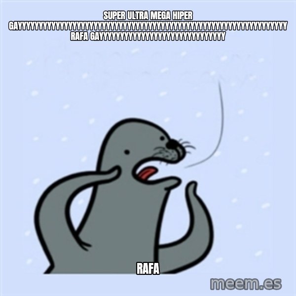 gay seal meme: SUPER ULTRA MEGA HIPER GAYYYYYYYYYYYYYYYYYYYYYYYYYYYYYYYYYYYYYYYYYYYYYYYYYYYYYYYYYYYYYYYY RAFA GAYYYYYYYYYYYYYYYYYYYYYYYYYYYYYY / Rafa