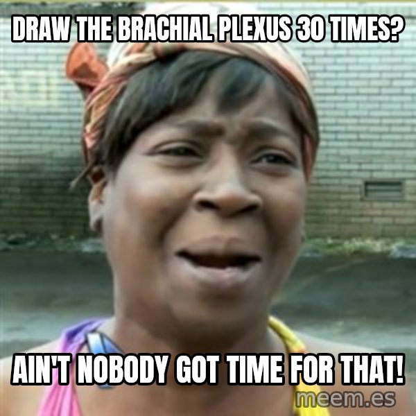 Ain't Nobody got time fo that meme: DRAW THE BRACHIAL PLEXUS 30 TIMES? / aIN'T NOBODY GOT TIME FOR THAT!