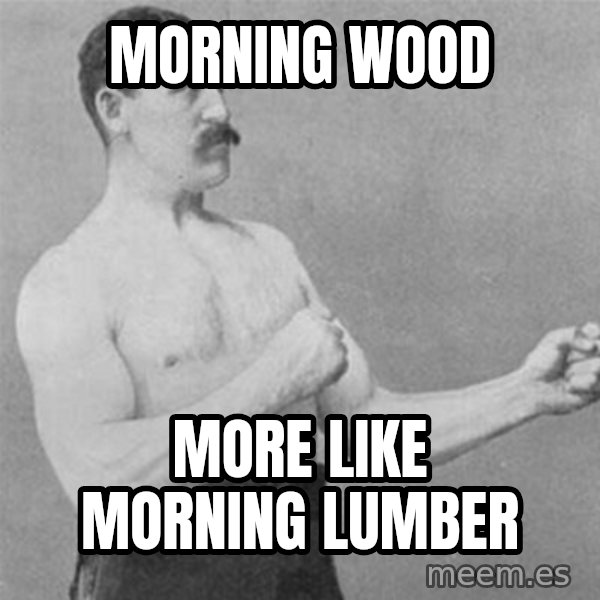 overly manlyman meme: MORNING WOOD / MORE LIKE MORNING LUMBER