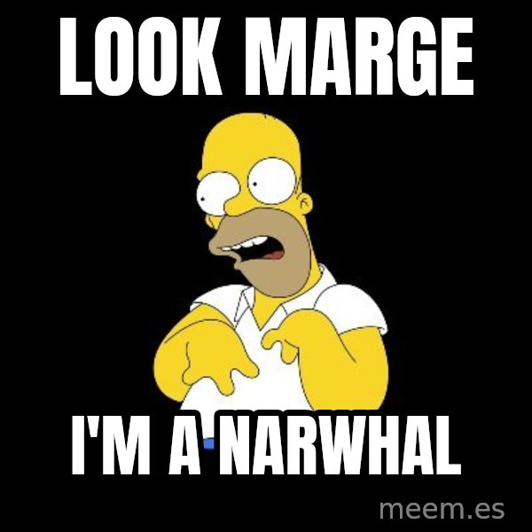 look-marge meme: LOOK MARGE / I'M a NARWHAL
