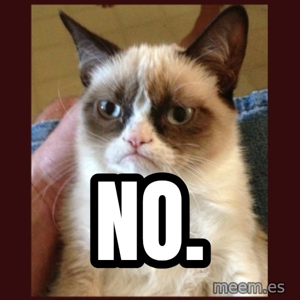 Tard the Grumpy Cat meme: NO.