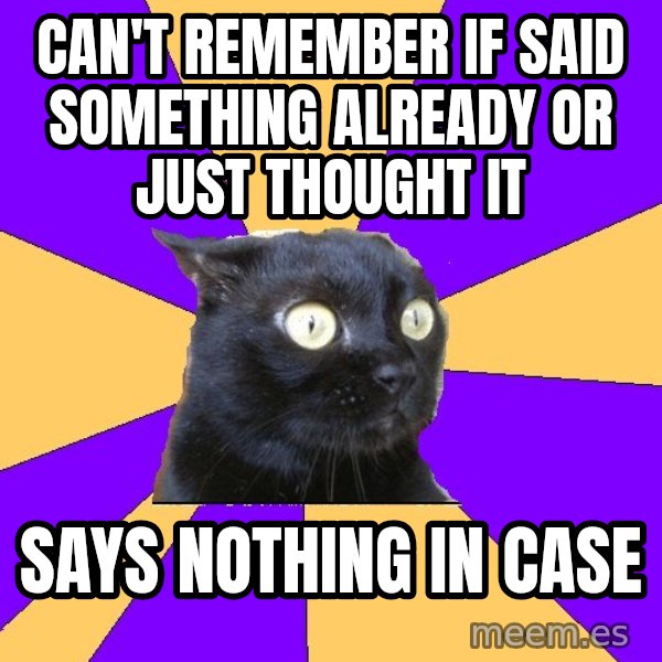 Anxiety Cat meme: can't remember if said something already or just thought it / says nothing in case