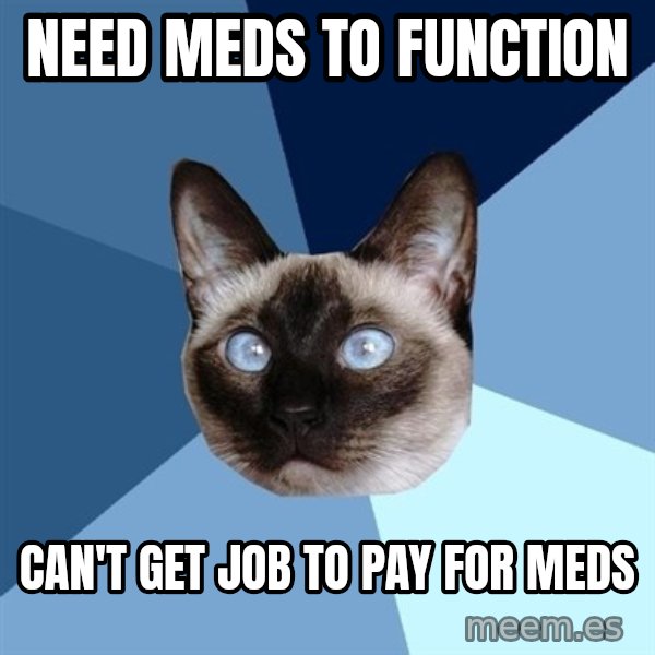 Chronic Illness Cat meme: need meds to function / can't get job to pay for meds