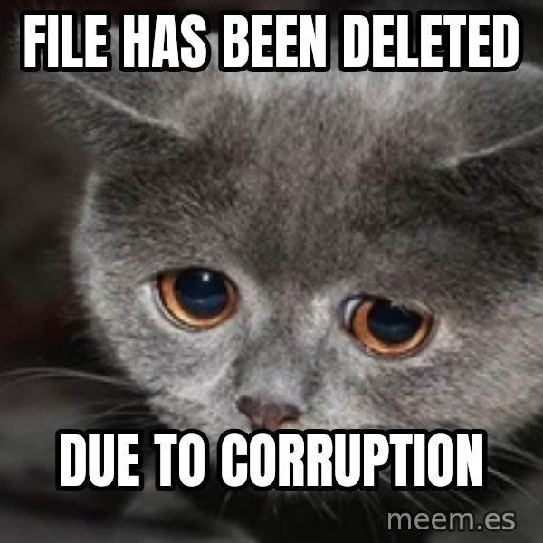Sadcat meme: file has been deleted / due to corruption