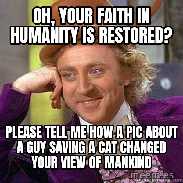 Willy Wonka meme: oh, your faith in humanity is restored? / please tell me how a pic about a guy saving a cat changed your view of mankind
