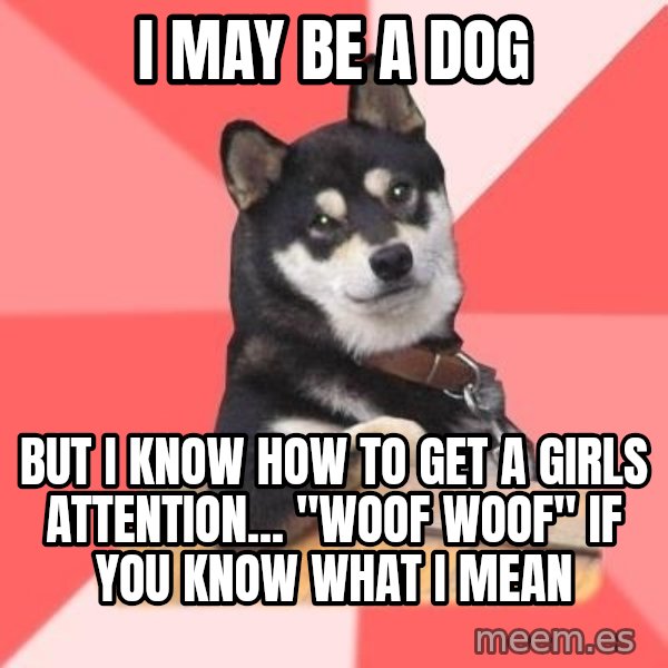 Cool Dog meme: I MAY BE A DOG / BUT I KNOW HOW TO GET A GIRLS ATTENTION... "WOOF WOOF" IF YOU KNOW WHAT I MEAN