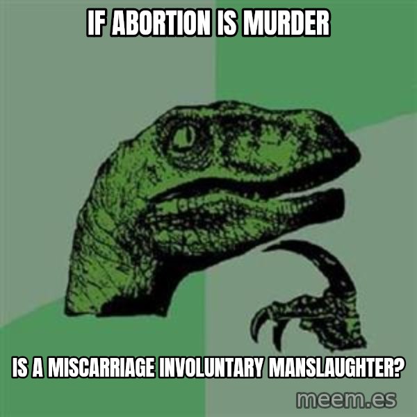 Philosoraptor meme: If abortion is murder / is a miscarriage involuntary manslaughter?