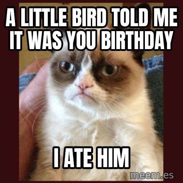 Grumpy Cat  meme: a little bird told me it was you birthday / i ate him