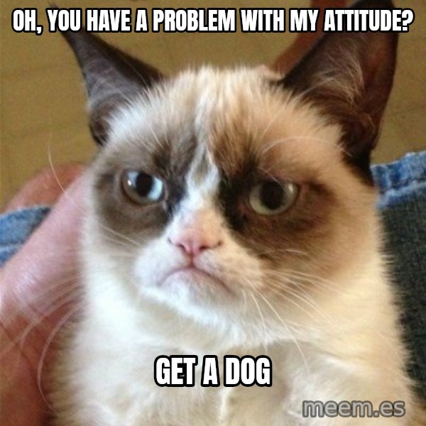 Grumpy Cat  meme: oh, you have a problem with my attitude? / get a dog