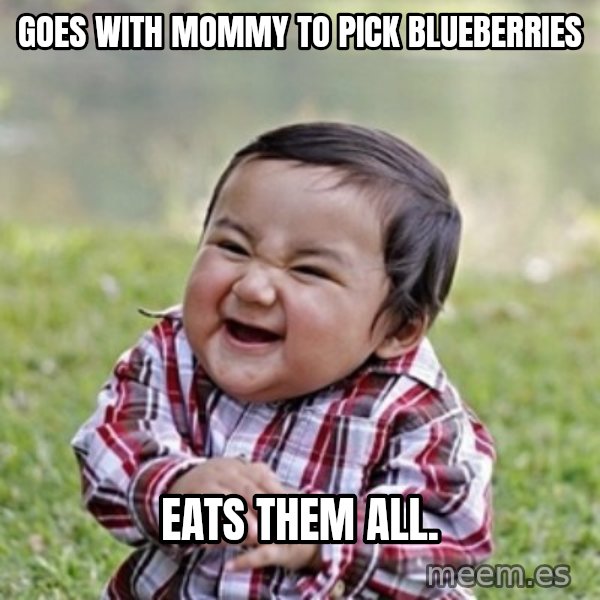 evil toddler kid2 meme: Goes with mommy to pick blueberries / eats them all.