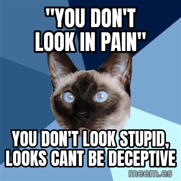 Chronic Illness Cat meme: "You don't look in pain" / you don't look stupid, looks cant be deceptive