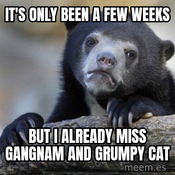 Confession Bear meme: It's only  been a few weeks / but i already miss gangnam and grumpy cat