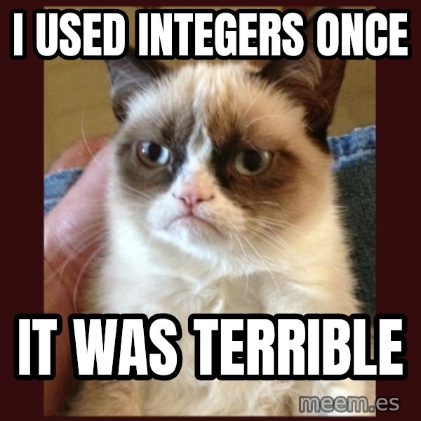 Grumpy Cat  meme: i used integers once / it was terrible
