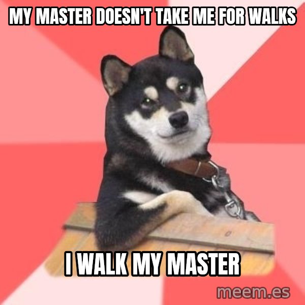 Cool Dog meme: MY MASTER DOESN'T TAKE ME FOR WALKS / I WALK MY MASTER