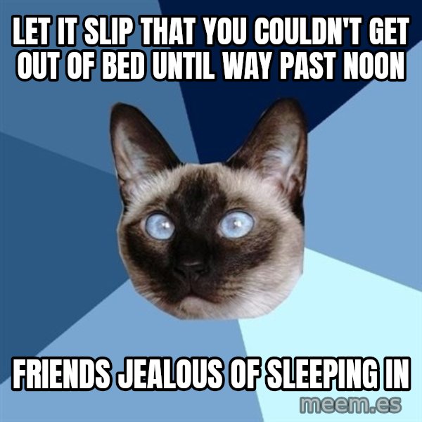 Chronic Illness Cat meme: Let it slip that you couldn't get out of bed until way past noon / Friends jealous of sleeping in