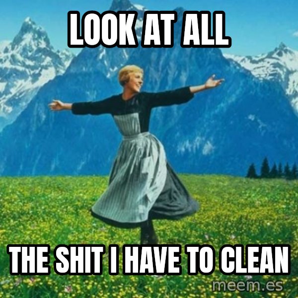 Look at All the Fucks I Give meme: look at all / the shit I have to clean