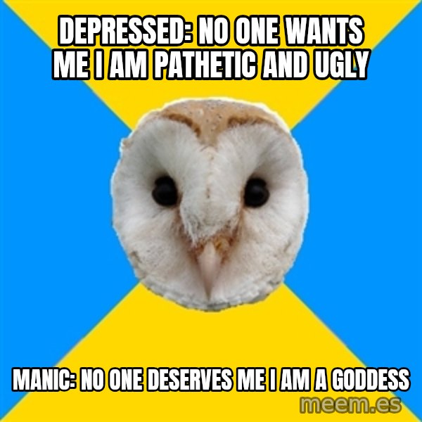 Bipolar Owl meme: Depressed: no one wants me i am pathetic and ugly / Manic: no one deserves me i am a goddess