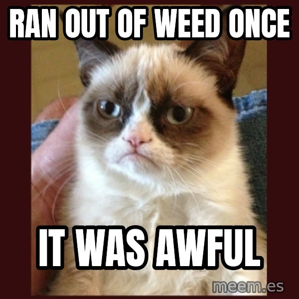 Grumpy Cat  meme: Ran out of weed once / It was awful