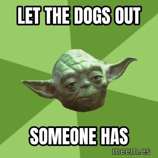Advice Yoda Gives meme: let the dogs out / someone has