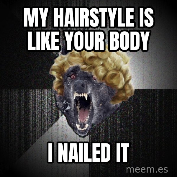 Insanity Wolf meme: my hairstyle is like your body / i nailed it