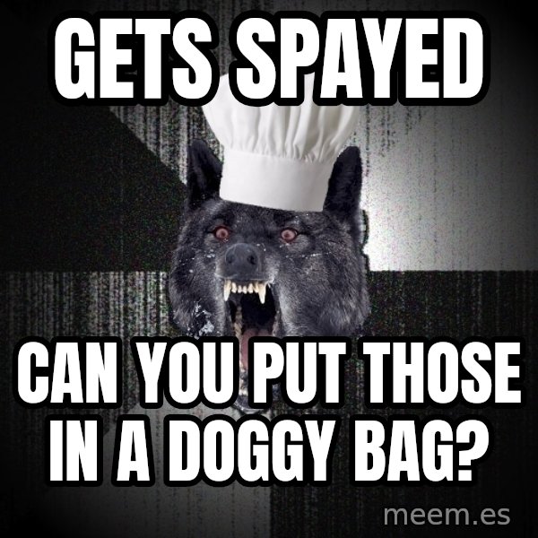 Insanity Wolf meme: gets spayed / can you put those in a doggy bag?