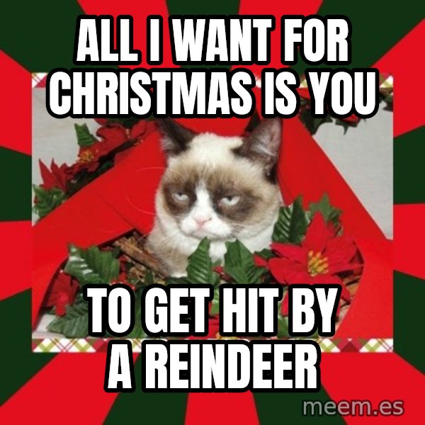 GRUMPY CAT ON CHRISTMAS meme: all i want for christmas is you / to get hit by a reindeer