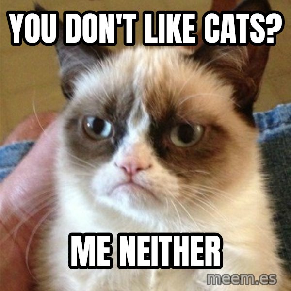 Grumpy Cat  meme: You don't like cats? / me neither