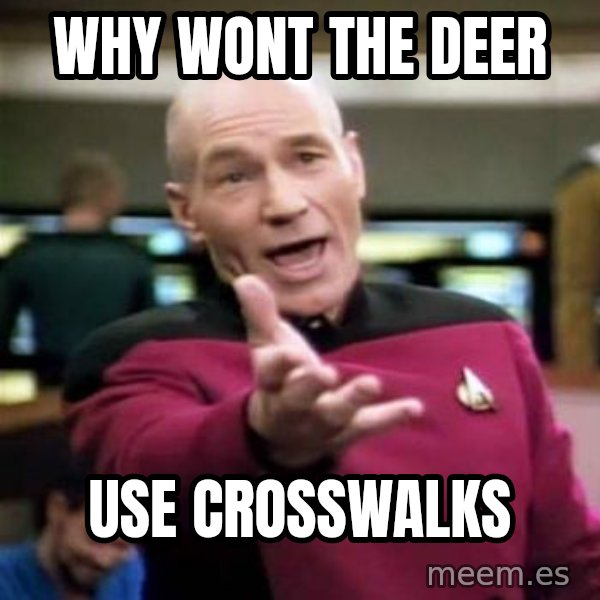 Picard Wtf meme: Why wont the deer / Use crosswalks