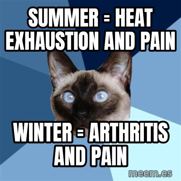 Chronic Illness Cat meme: Summer = heat exhaustion and pain / winter = arthritis and pain