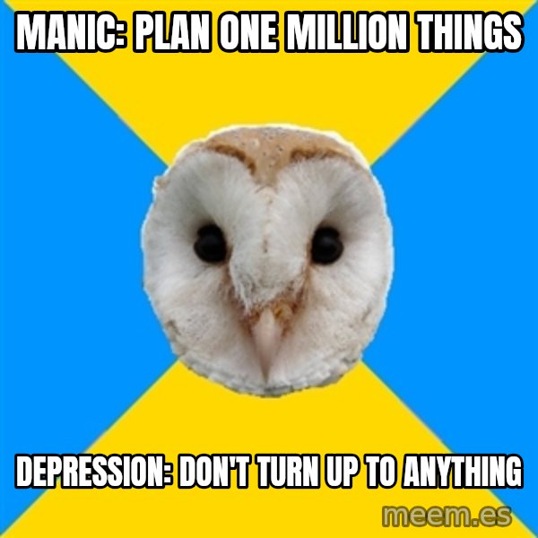 Bipolar Owl meme: MANIC: PLAN ONE MILLION THINGS / DEPRESSION: DON'T turn up to anything