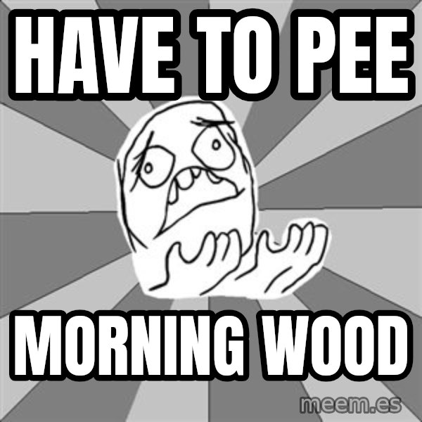 Whyyy??? meme: Have to pee / Morning wood