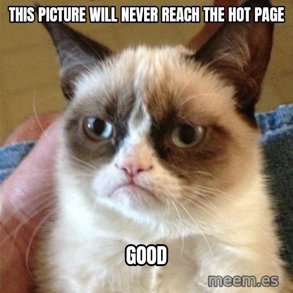 Grumpy Cat  meme: THIS PICTURE WILL NEVER REACH THE HOT PAGE / good