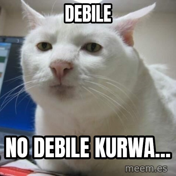 Serious Cat meme: DEBILE / NO DEBILE KURWA...