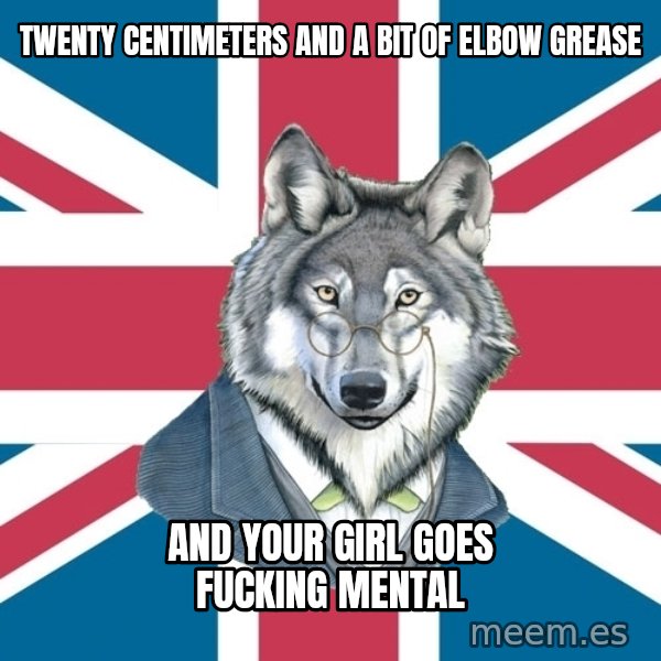 Sir Courage Wolf Esquire meme: twenty centimeters and a bit of elbow grease / and your girl goes fucking mental