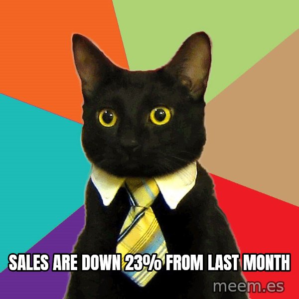 Business Cat meme: sales are down 23% from last month