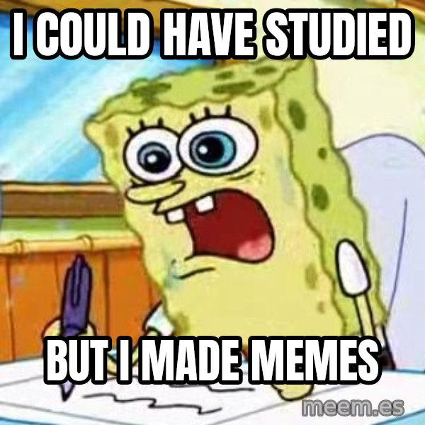 Spongebob What I Learned In Boating School Is meme: I COULD HAVE STUDIED / BUT I MADE MEMES