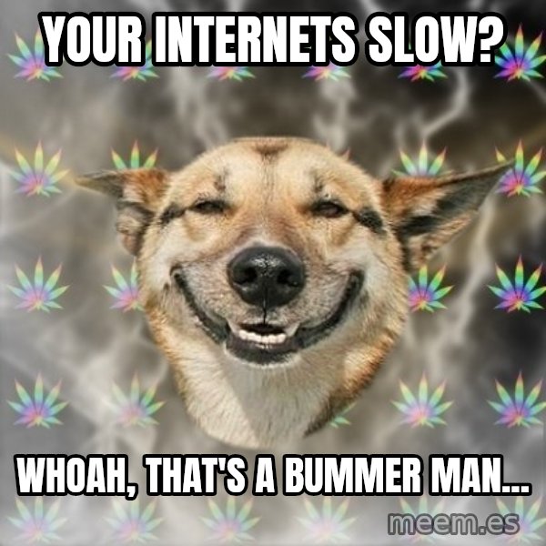 Stoner Dog meme: yOUR INTERNETS SLOW? / WHOAH, THAT'S A BUMMER MAN...